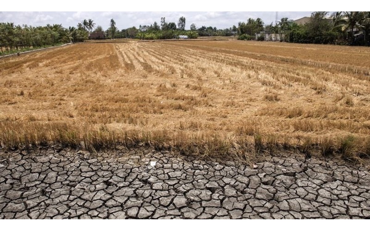 Giải pháp tiết kiệm nước sản xuất nông nghiệp trong vụ hè thu Giải pháp tiết kiệm nước sản xuất nông nghiệp trong vụ hè thu
